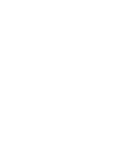 Network